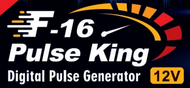 F-16 Pulse King logo